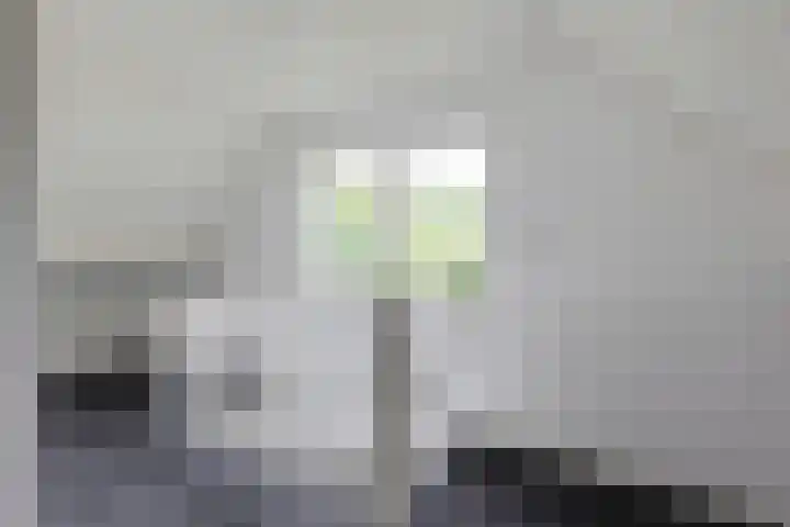 Anholtseweg 49 Gendringen thumbnail 29