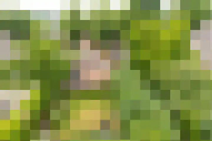 Anholtseweg 49 Gendringen thumbnail 30