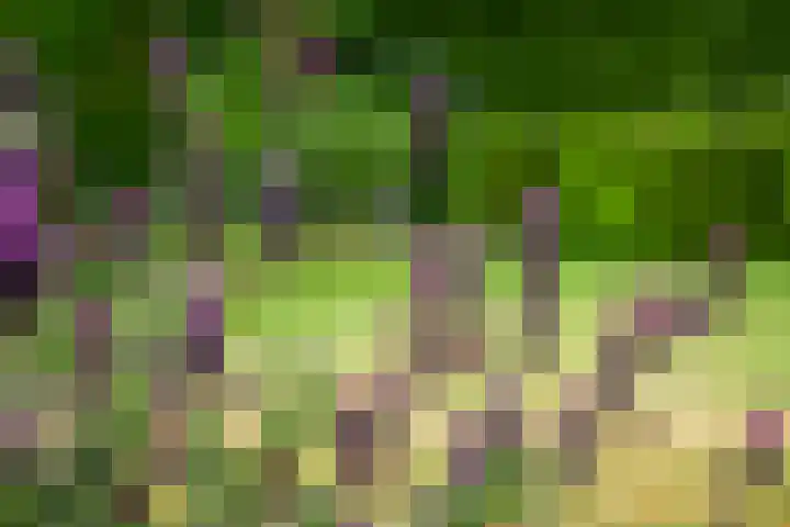 Anholtseweg 49 Gendringen thumbnail 35
