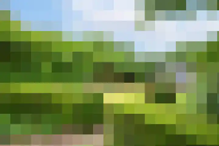 Anholtseweg 49 Gendringen thumbnail 36
