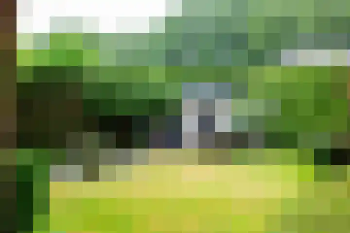 Anholtseweg 49 Gendringen thumbnail 37