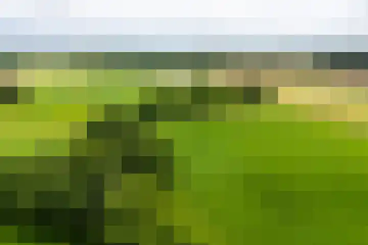 Anholtseweg 49 Gendringen thumbnail 38