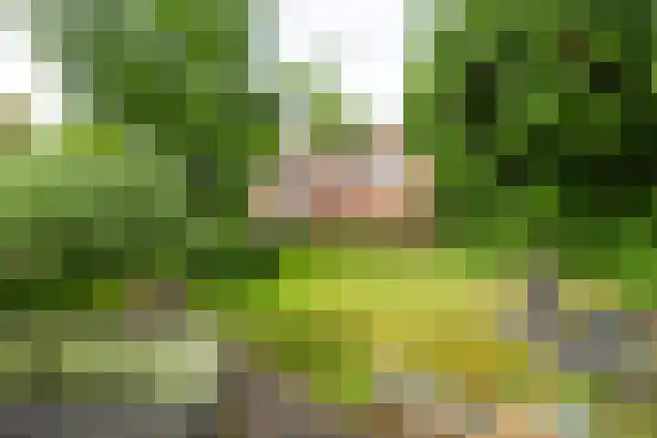 Anholtseweg 49 Gendringen thumbnail 39