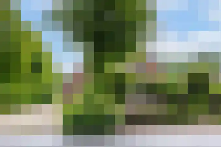 Anholtseweg 49 Gendringen thumbnail 4