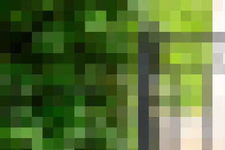 Anholtseweg 49 Gendringen thumbnail 40