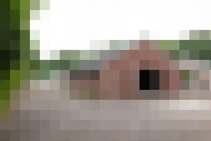 Anholtseweg 49 Gendringen thumbnail 42
