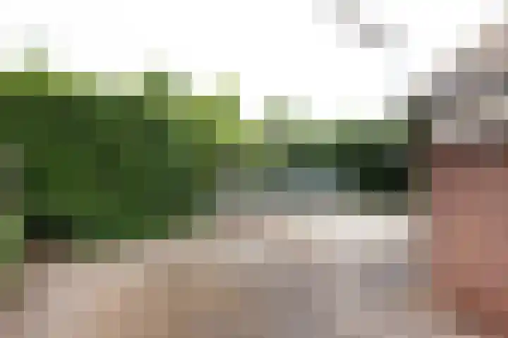 Anholtseweg 49 Gendringen thumbnail 44