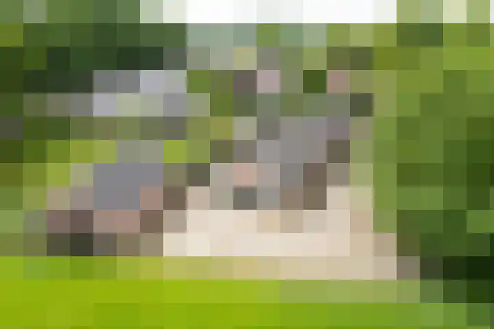 Anholtseweg 49 Gendringen thumbnail 46