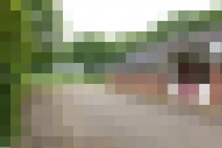 Anholtseweg 49 Gendringen thumbnail 49