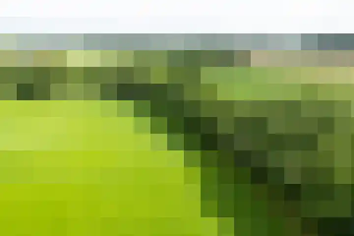 Anholtseweg 49 Gendringen thumbnail 64