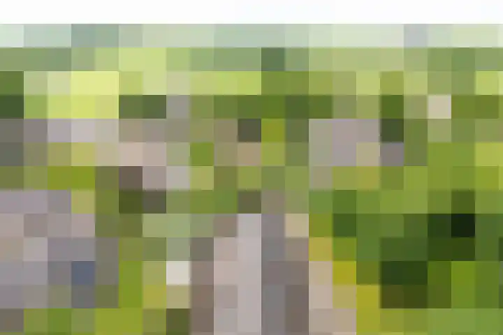 Anholtseweg 49 Gendringen thumbnail 65