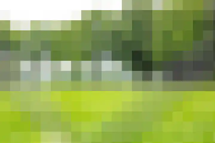 Anholtseweg 49 Gendringen thumbnail 66