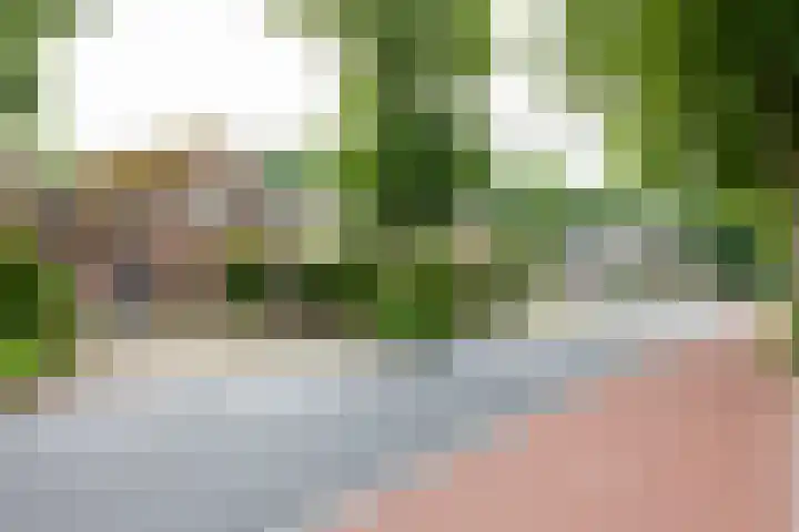 Anholtseweg 49 Gendringen thumbnail 67