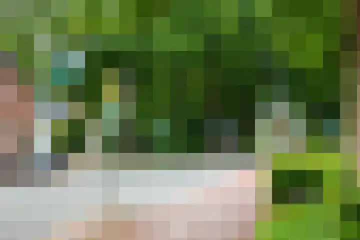 Anholtseweg 49 Gendringen thumbnail 68