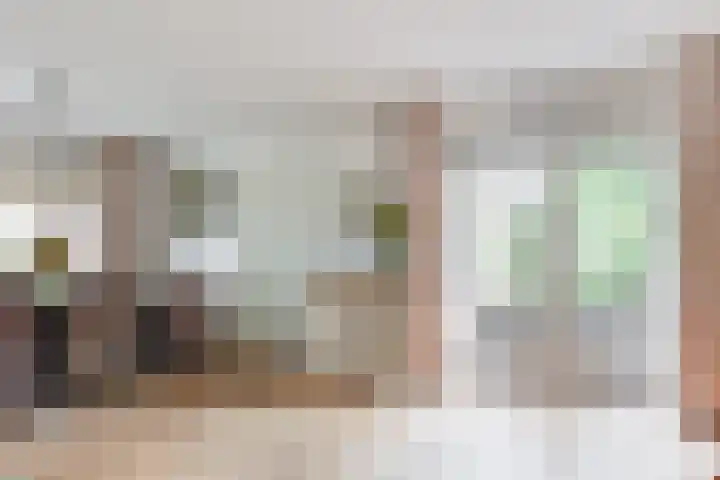 Anholtseweg 49 Gendringen thumbnail 8