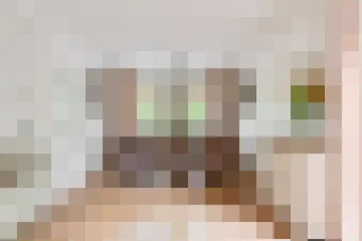 Anholtseweg 49 Gendringen thumbnail 9