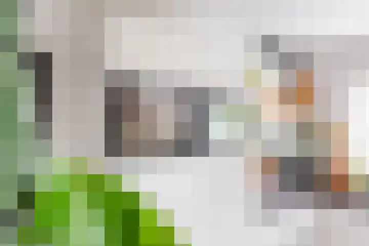 Anholtseweg 60 Gendringen thumbnail 12