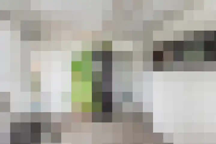 Anholtseweg 60 Gendringen thumbnail 14