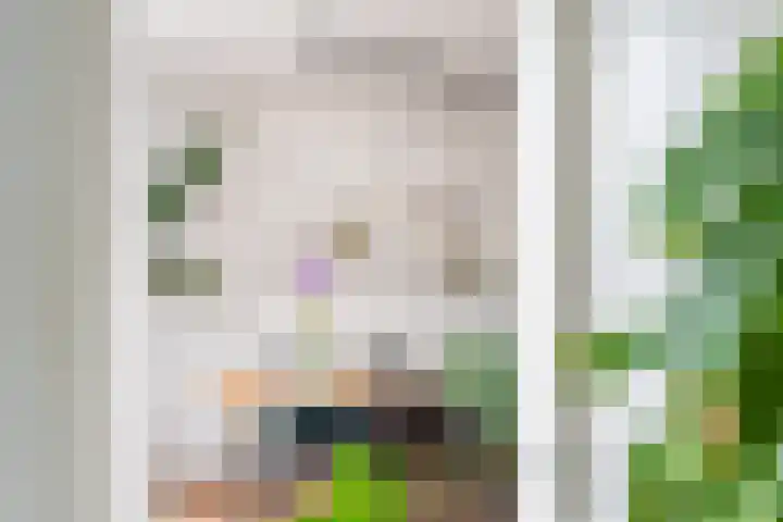 Anholtseweg 60 Gendringen thumbnail 15
