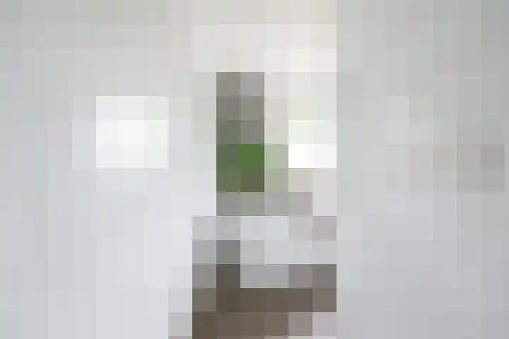 Anholtseweg 60 Gendringen thumbnail 33
