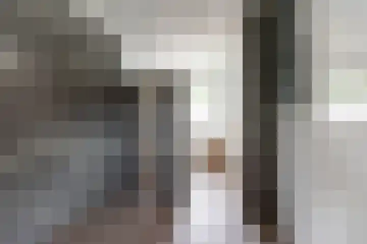 Anholtseweg 60 Gendringen thumbnail 37
