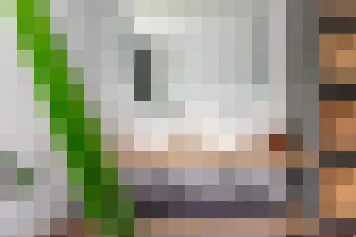 Anholtseweg 60 Gendringen thumbnail 39