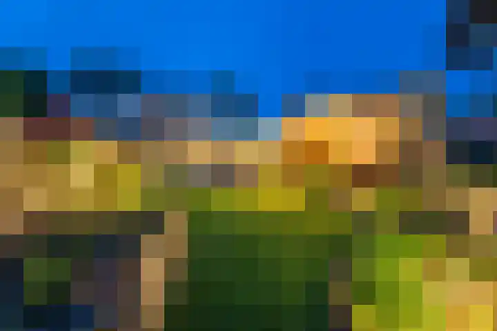 Anholtseweg 60 Gendringen thumbnail 4