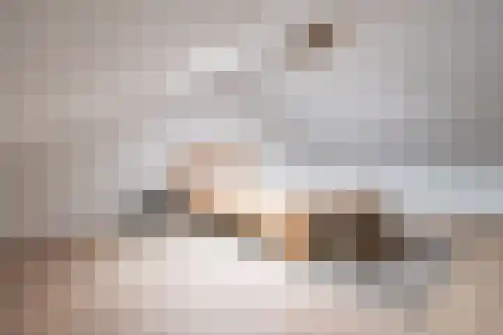 Anholtseweg 60 Gendringen thumbnail 43