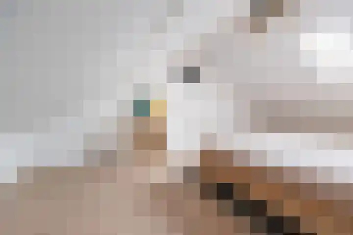 Anholtseweg 60 Gendringen thumbnail 44