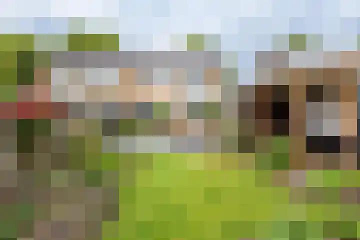 Anholtseweg 60 Gendringen thumbnail 47