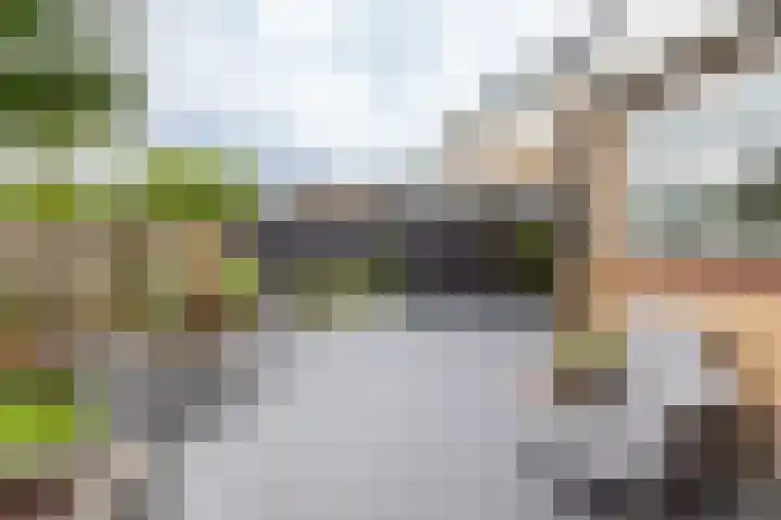 Anholtseweg 60 Gendringen thumbnail 50