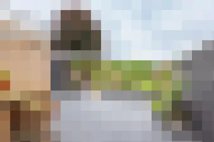 Anholtseweg 60 Gendringen thumbnail 51