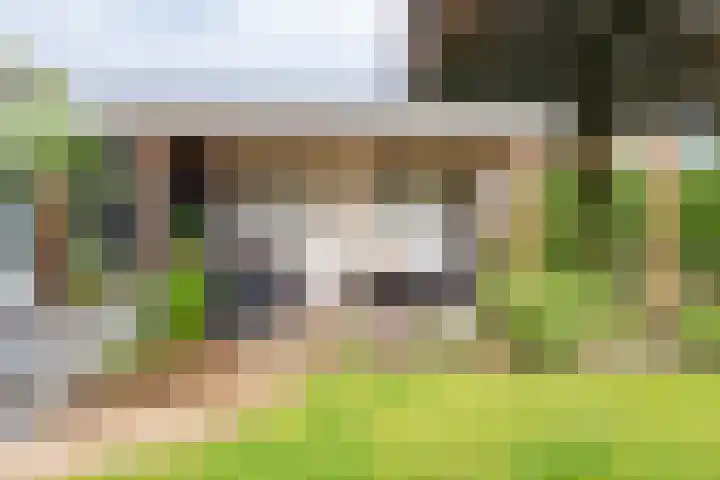Anholtseweg 60 Gendringen thumbnail 52