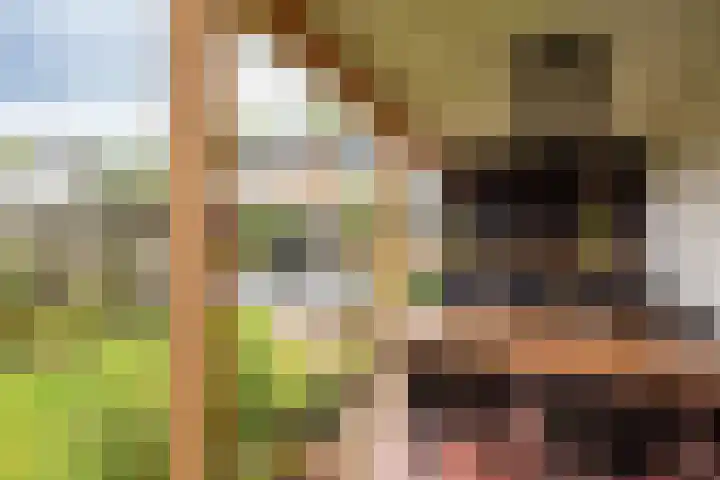 Anholtseweg 60 Gendringen thumbnail 53
