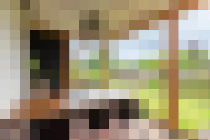 Anholtseweg 60 Gendringen thumbnail 54