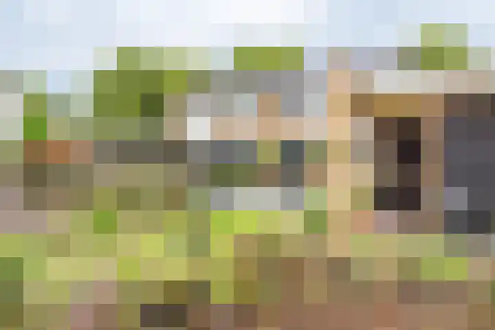 Anholtseweg 60 Gendringen thumbnail 56