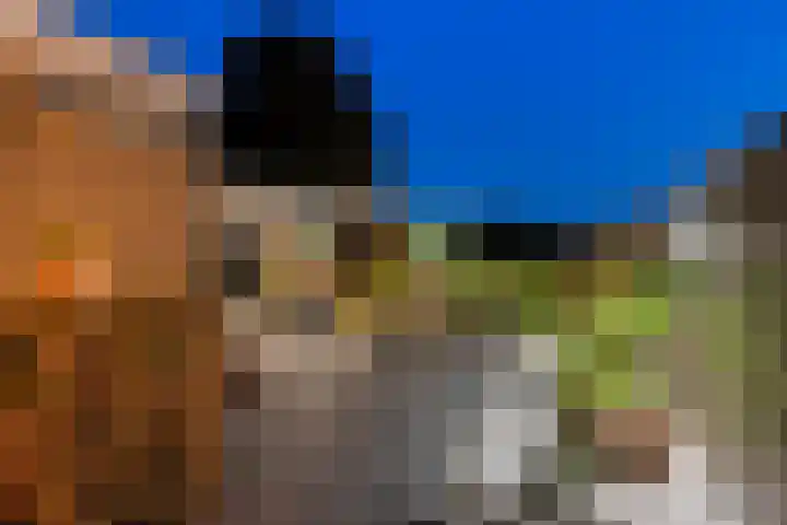 Anholtseweg 60 Gendringen thumbnail 57
