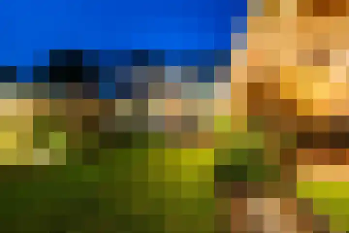 Anholtseweg 60 Gendringen thumbnail 58