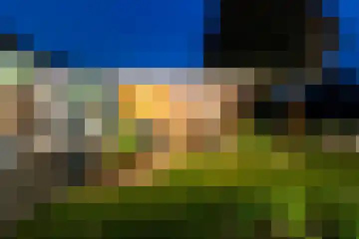 Anholtseweg 60 Gendringen thumbnail 59
