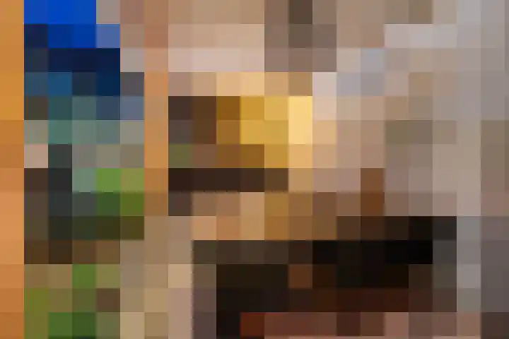 Anholtseweg 60 Gendringen thumbnail 60