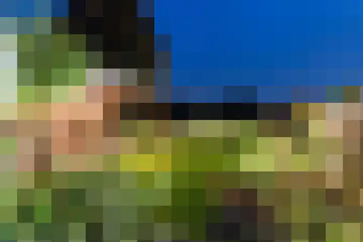 Anholtseweg 60 Gendringen thumbnail 62