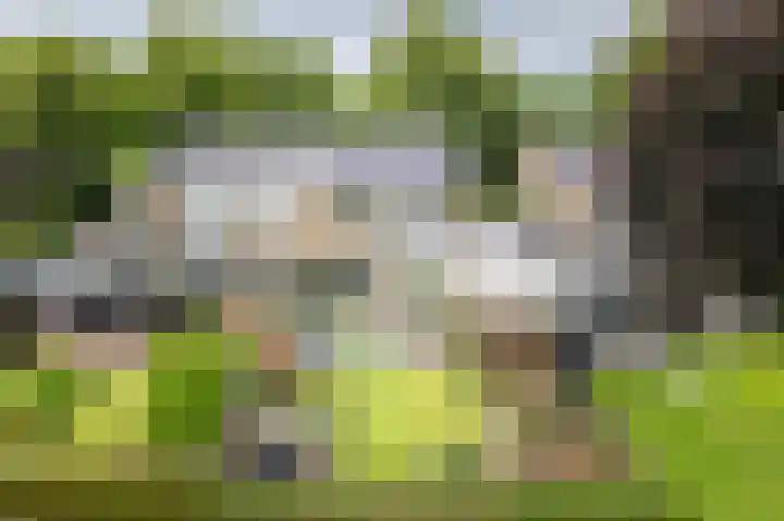 Anholtseweg 60 Gendringen thumbnail 63