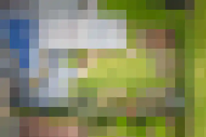Anholtseweg 60 Gendringen thumbnail 64