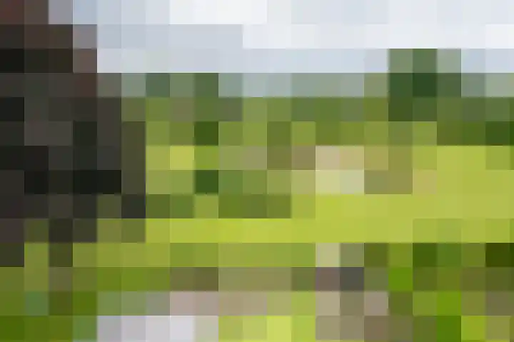 Anholtseweg 60 Gendringen thumbnail 65