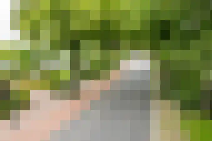 Anholtseweg 60 Gendringen thumbnail 66