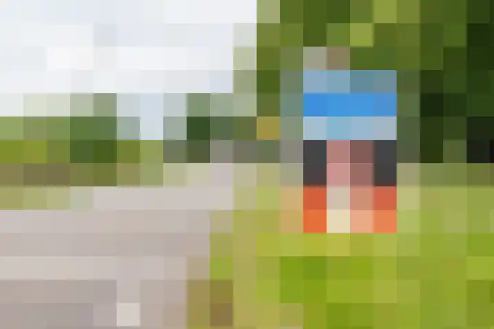 Anholtseweg 60 Gendringen thumbnail 67