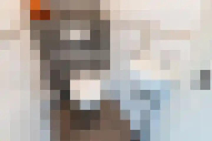 Anholtseweg 60 Gendringen thumbnail 9