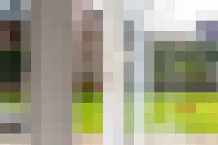 Anholtseweg 8 Gendringen thumbnail 12