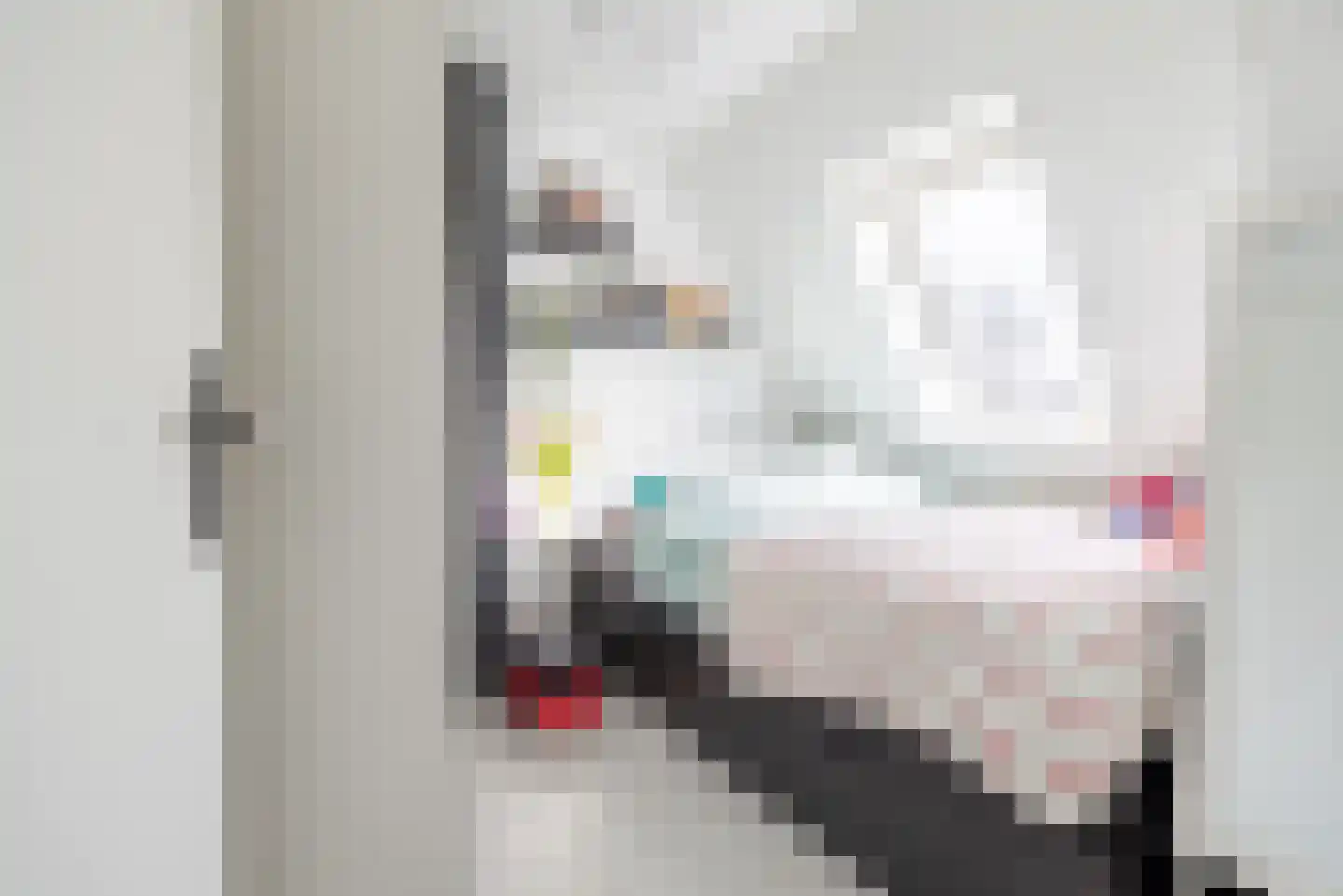 Anholtseweg 8 Gendringen thumbnail 32