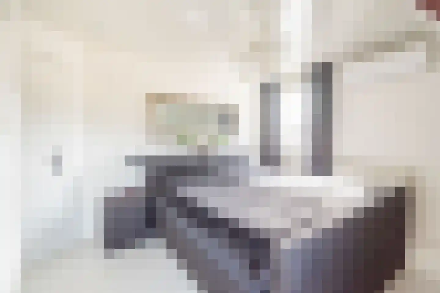Anholtseweg 8 Gendringen thumbnail 35